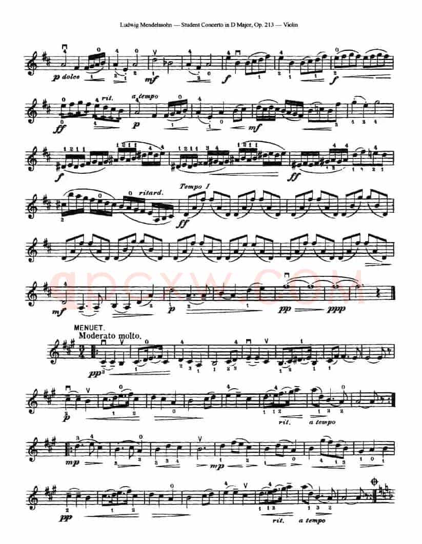 Student Concerto in D Major