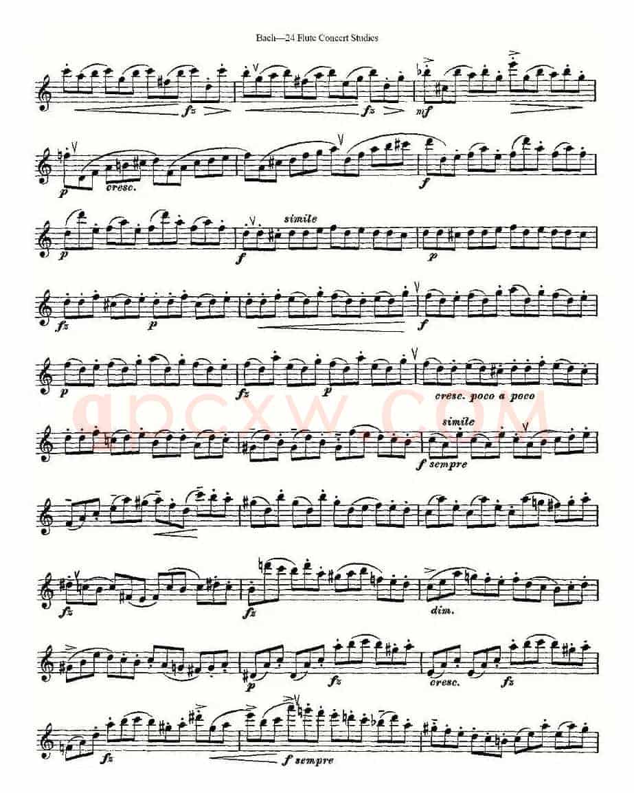 Bach-24 Flutc Concert Studies 之6—10（巴赫—24首长笛音乐会练习曲）