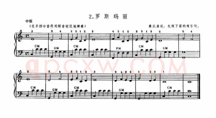 罗斯玛丽