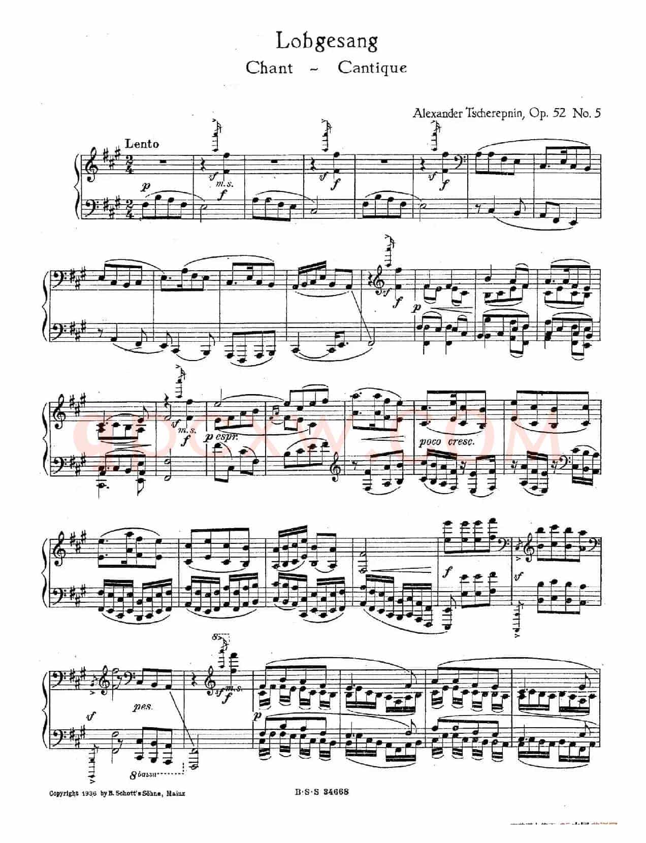 Five Concert Etudes