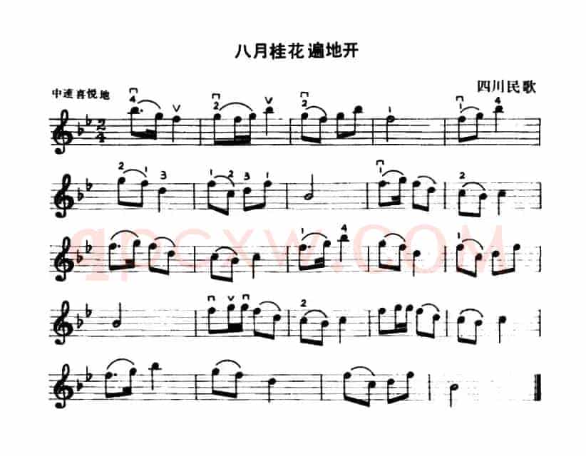 八月桂花遍地开