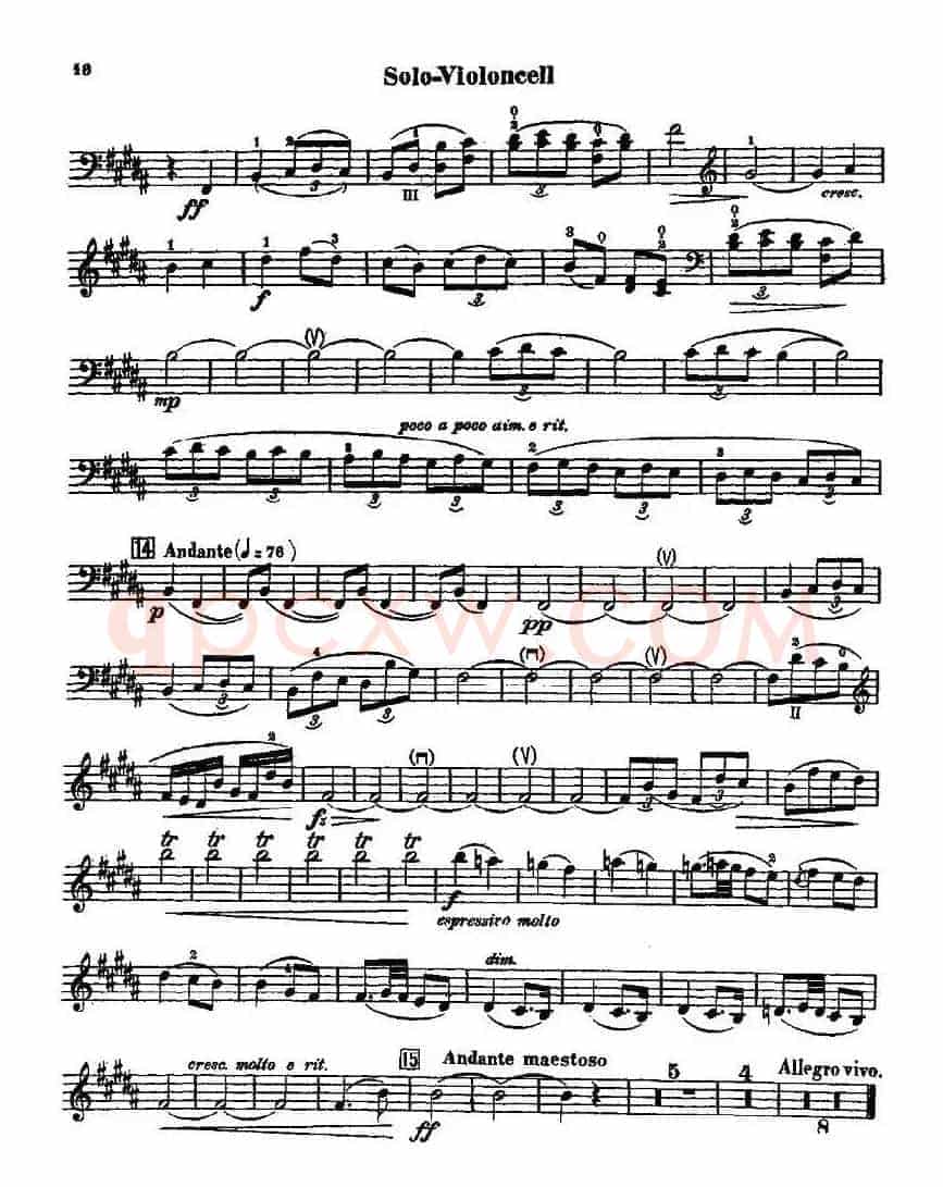 CELLO CONCERTO in B minor（大提琴）