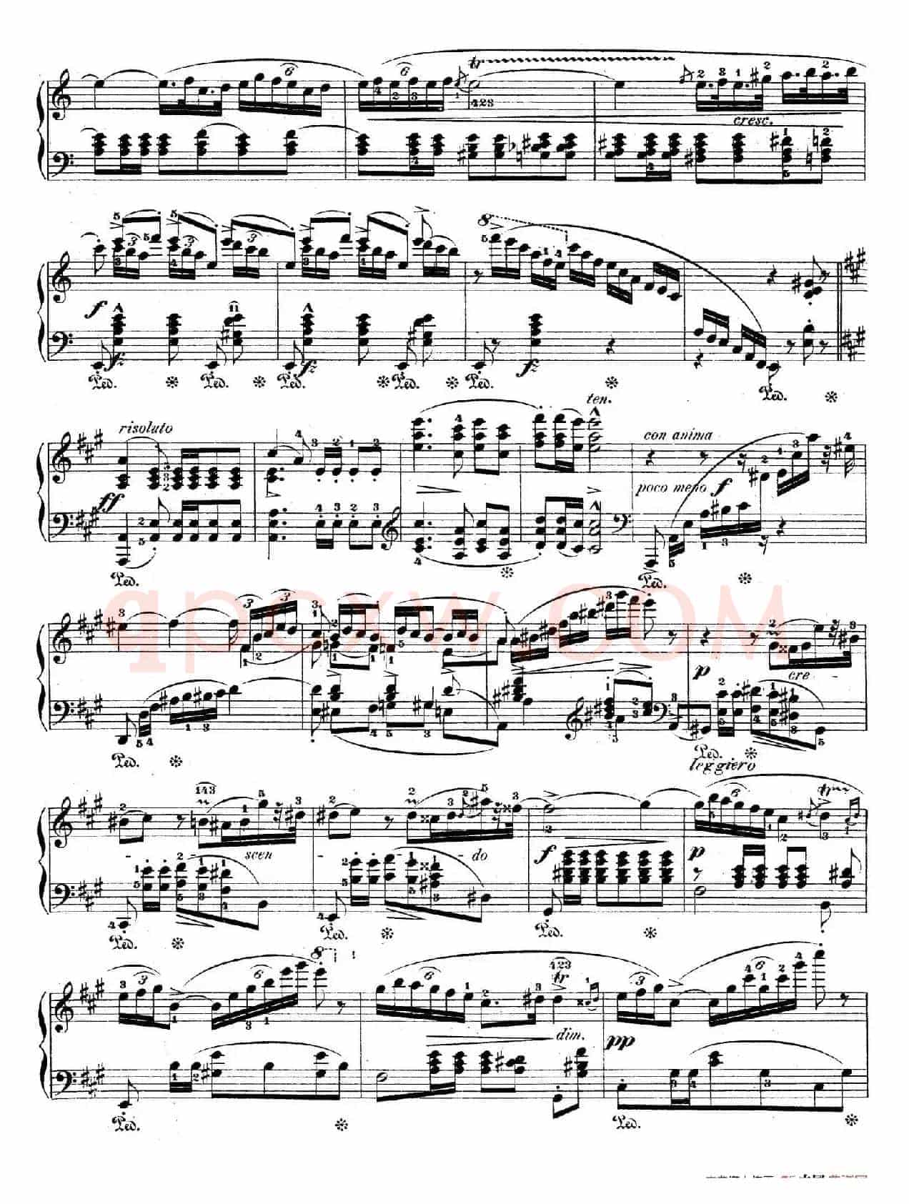 Bolero in C Major Op.19（C大调波莱罗舞曲）