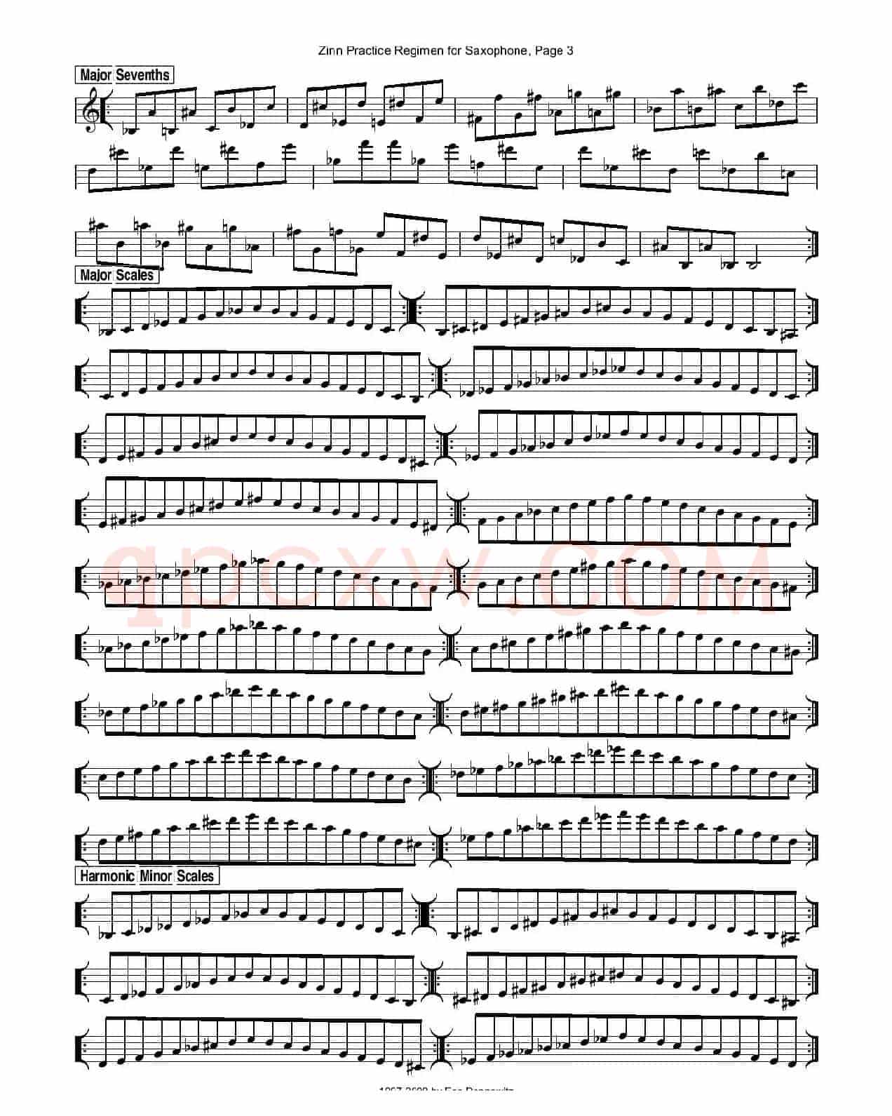 ZinnRegimenSax2009练习曲