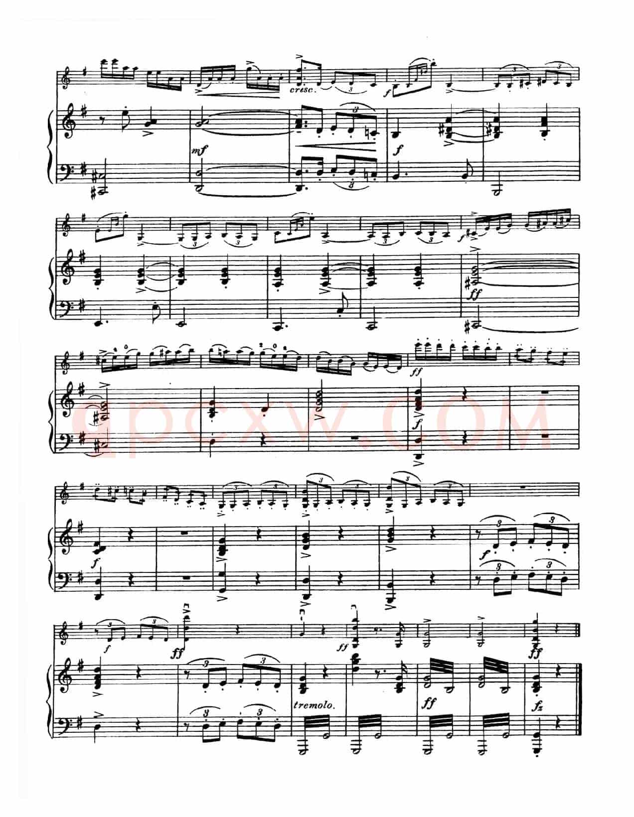 g小调学生协奏曲（塞茨作品第12号）