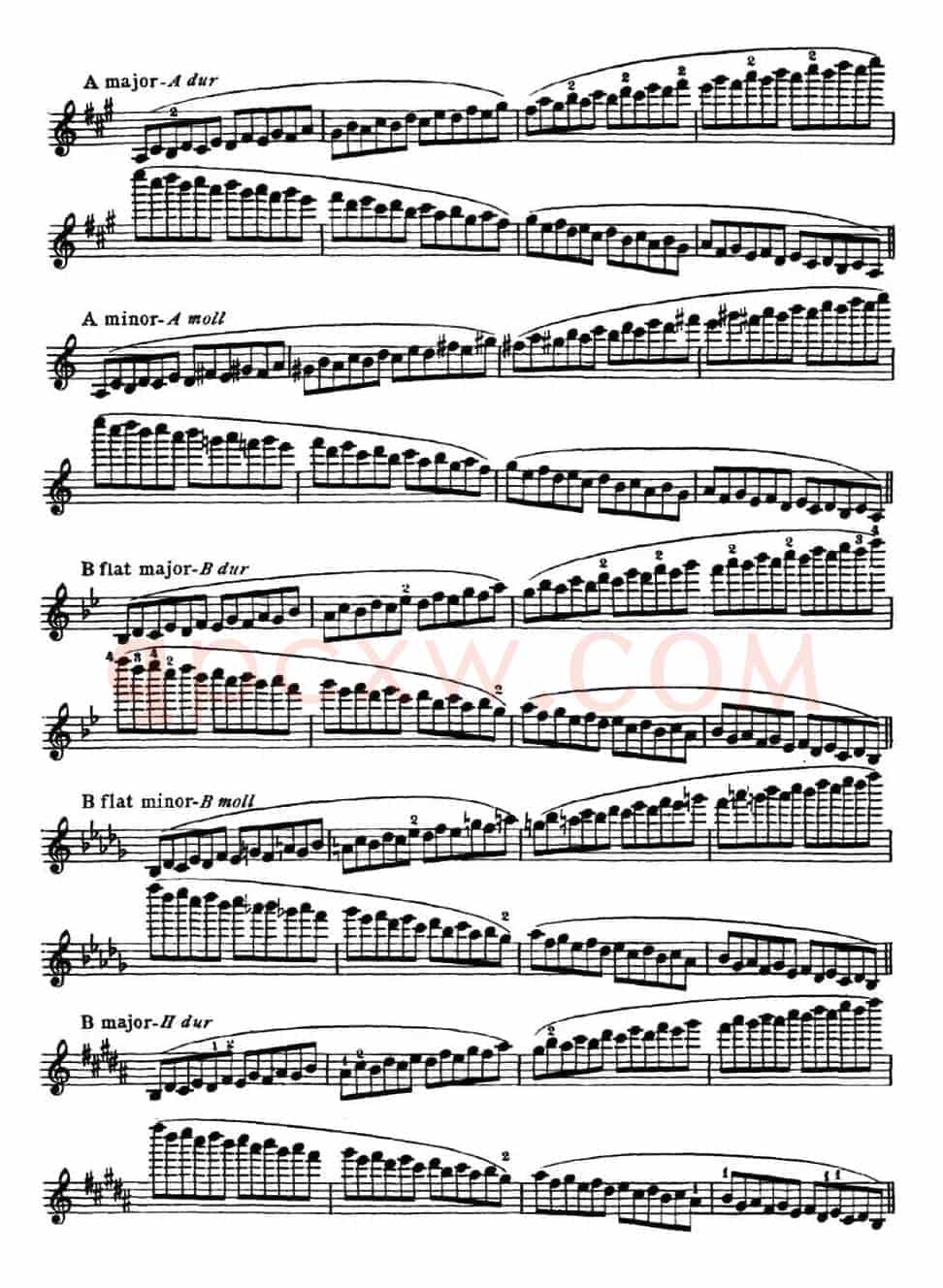小提琴音阶练习·作品32（Scale Studie-E）