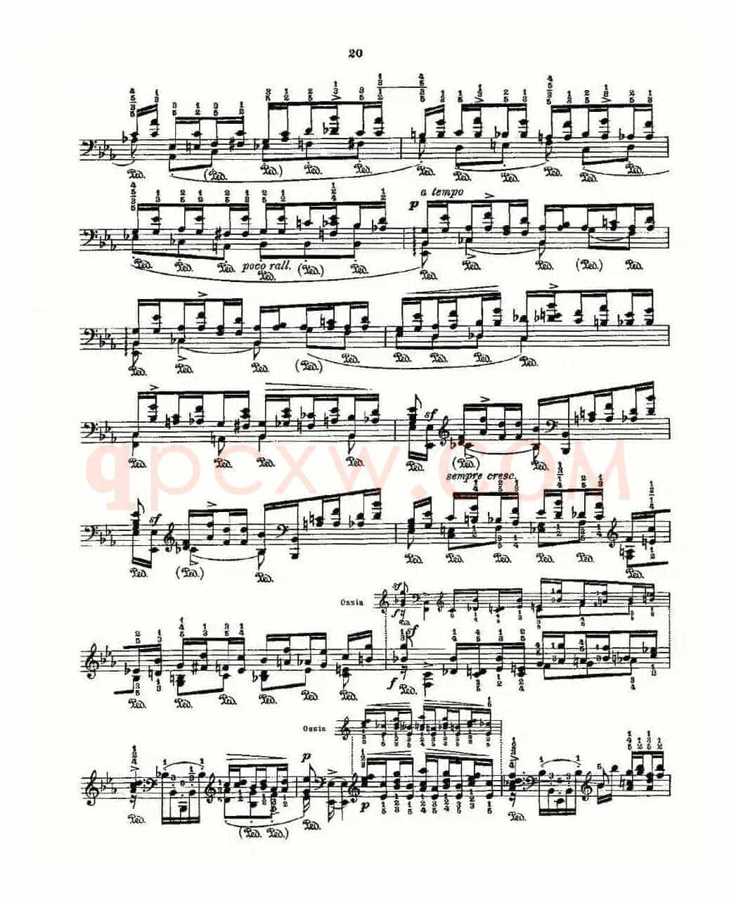 肖邦《练习曲》Fr.Chopin Op.10 No7-3