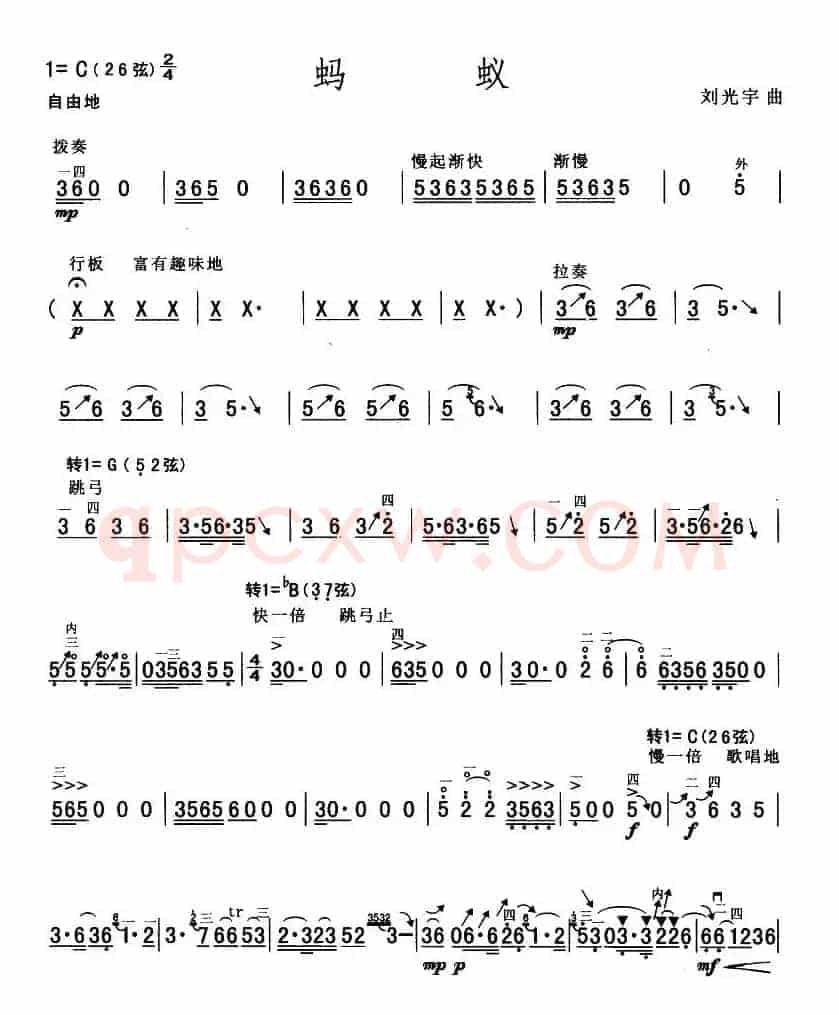 蚂蚁