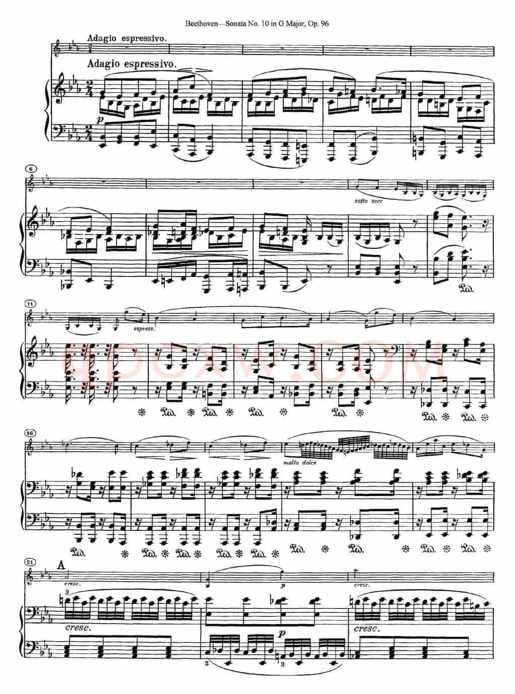 Violin Sonata No.10 in G Major Op.96（小提琴+钢琴伴奏）