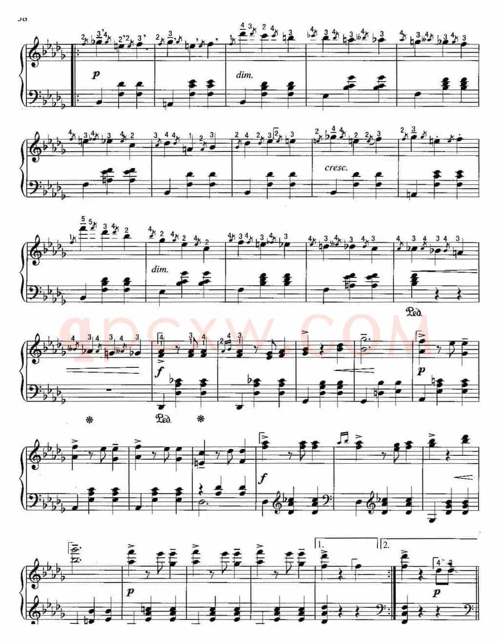 不可不弹的世界钢琴名曲：辉煌的大圆舞曲