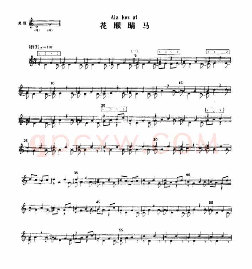 花眼睛马（冬不拉）