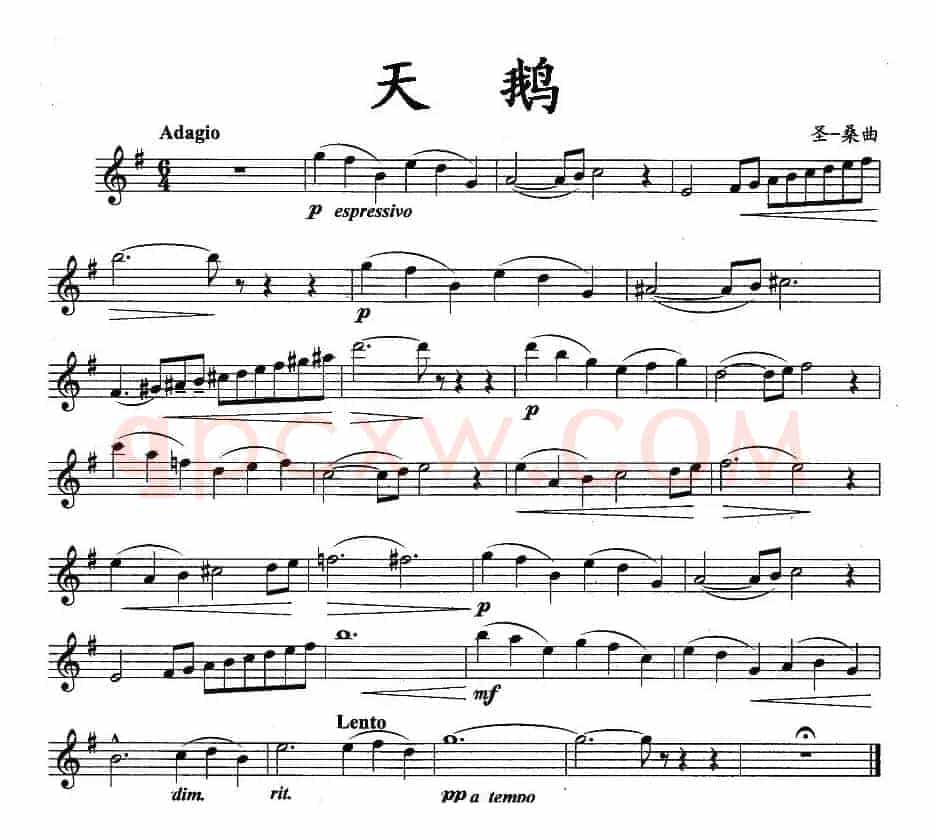 天鹅