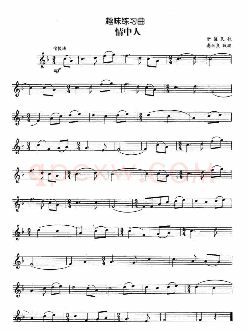 趣味练习曲：情中人