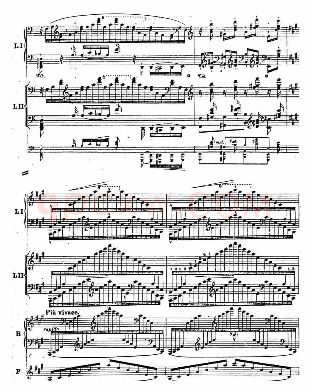 6首帕格尼尼大练习曲(Thema mit Variationen Etude Nr.6)