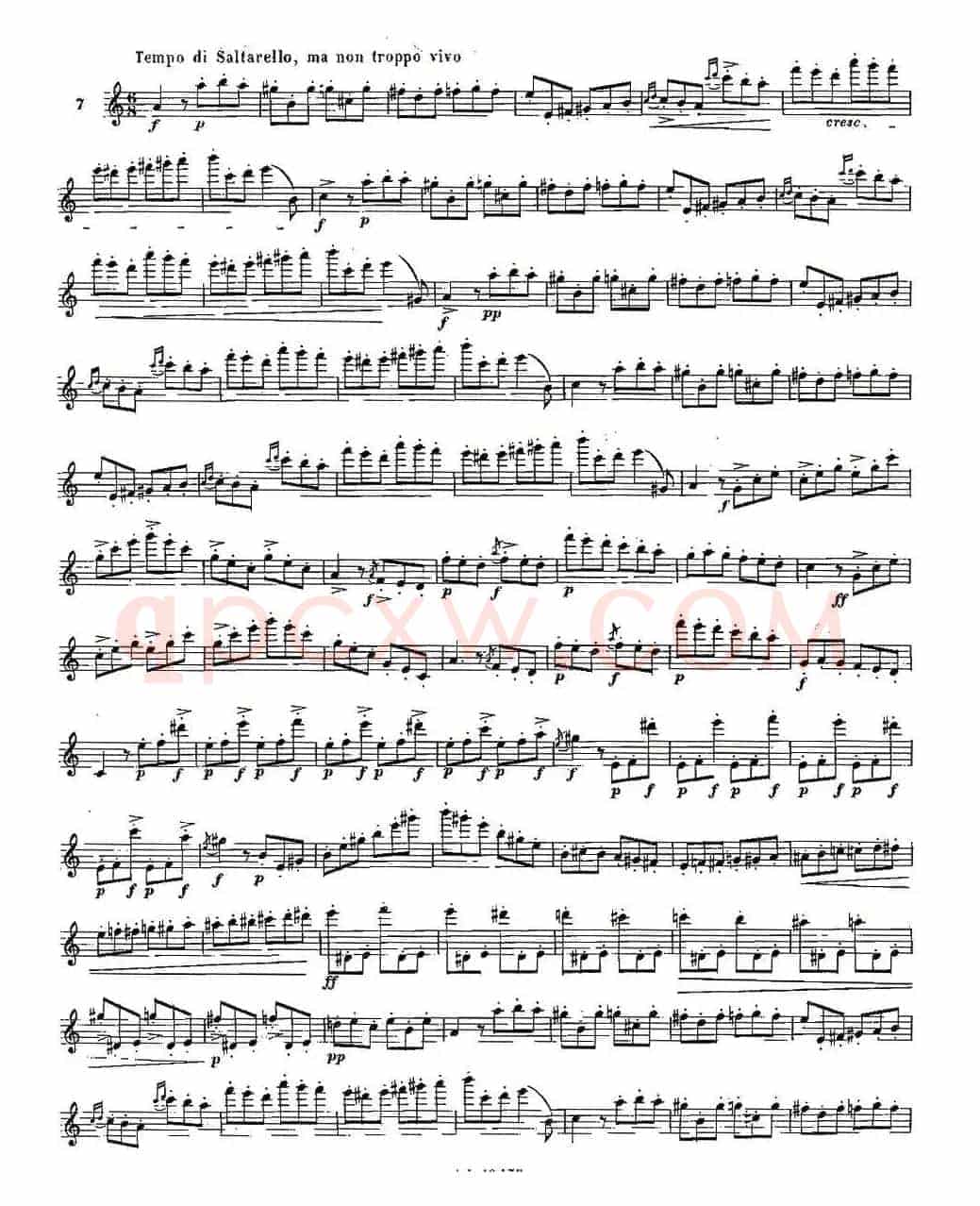 基于维尼亚夫斯基练习曲的10首长笛练习曲之7（Moyse - 10 Studies After Wieniawski）