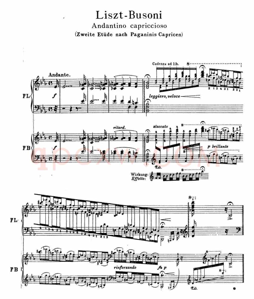 6首帕格尼尼大练习曲（Andantino capriccioso）