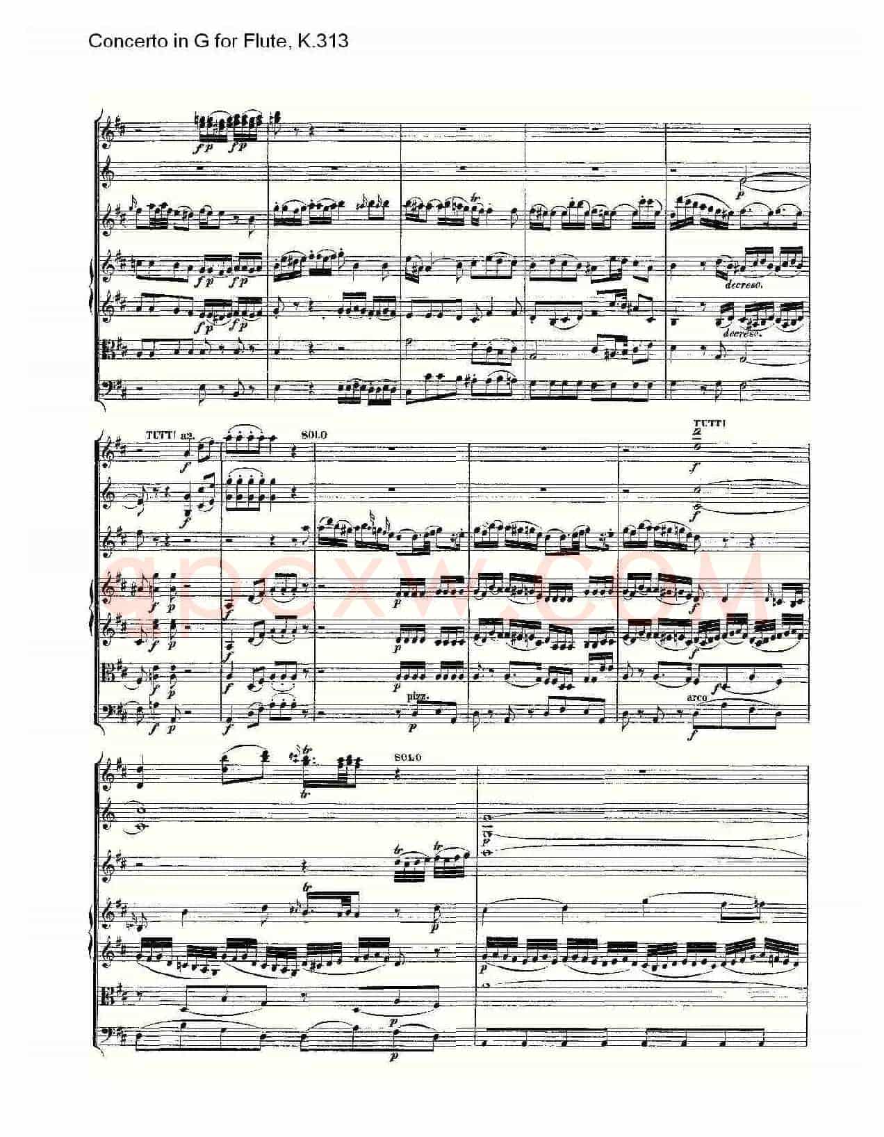Concerto in G for Flute, K.313（G调长笛协奏曲, K.313）