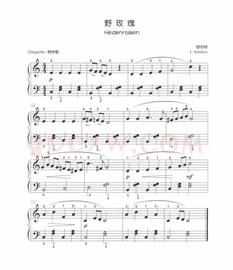 野玫瑰（儿童古典钢琴小品）