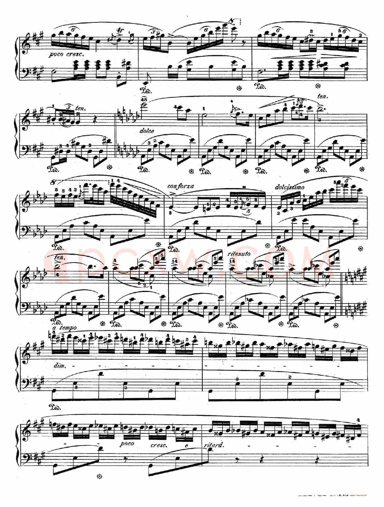 Bolero in C Major Op.19（C大调波莱罗舞曲）