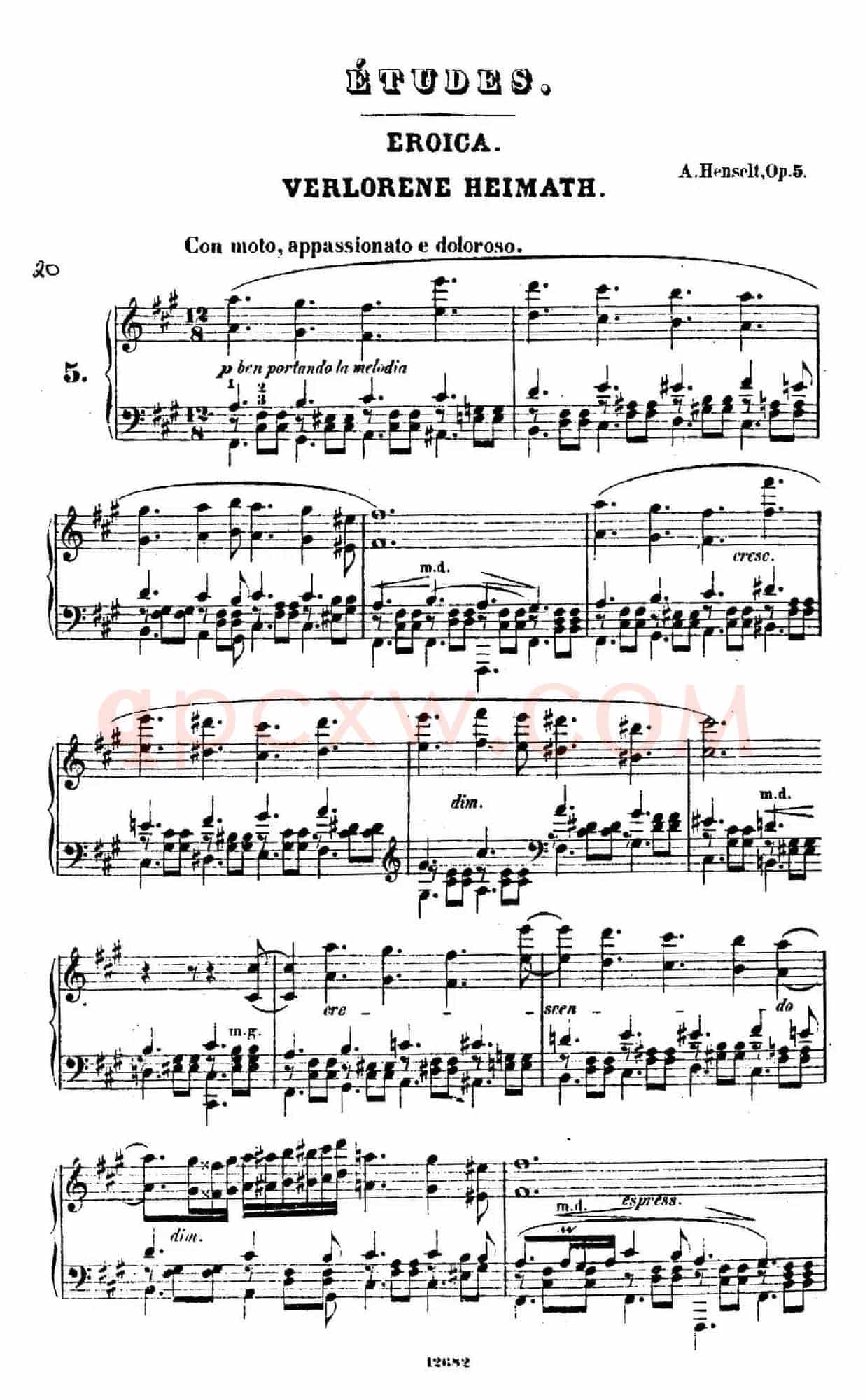 Douze Etudes de Salon Op.5（12首沙龙练习曲·5）
