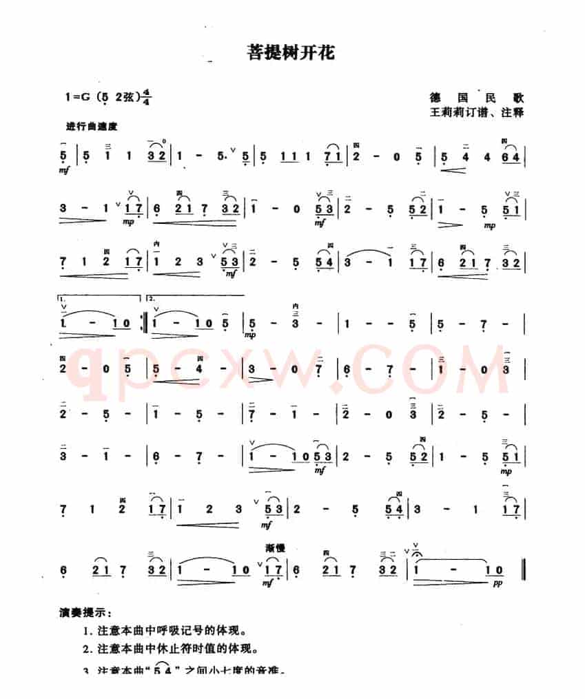 菩提树开花