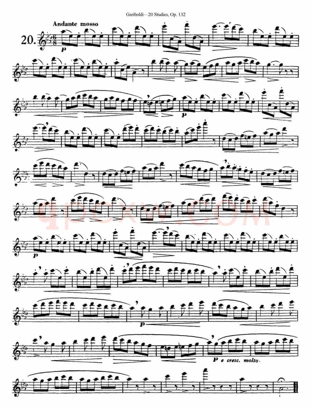 二十首练习曲作品132号之20