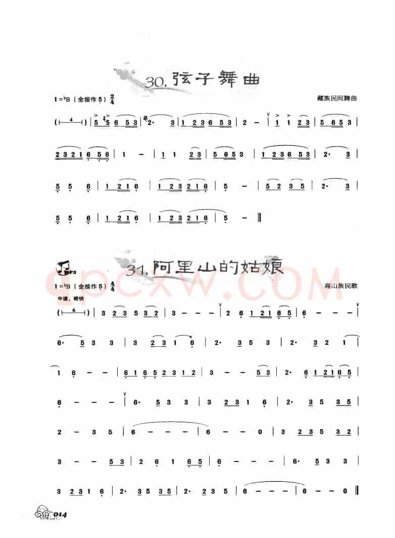 葫芦丝曲精选：现在舞曲 阿里山的姑娘