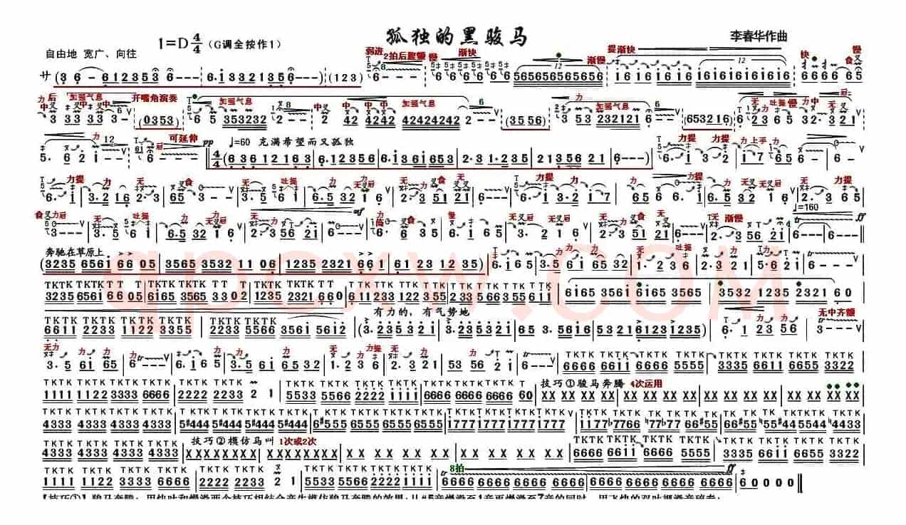 孤独的黑骏马（技巧谱）