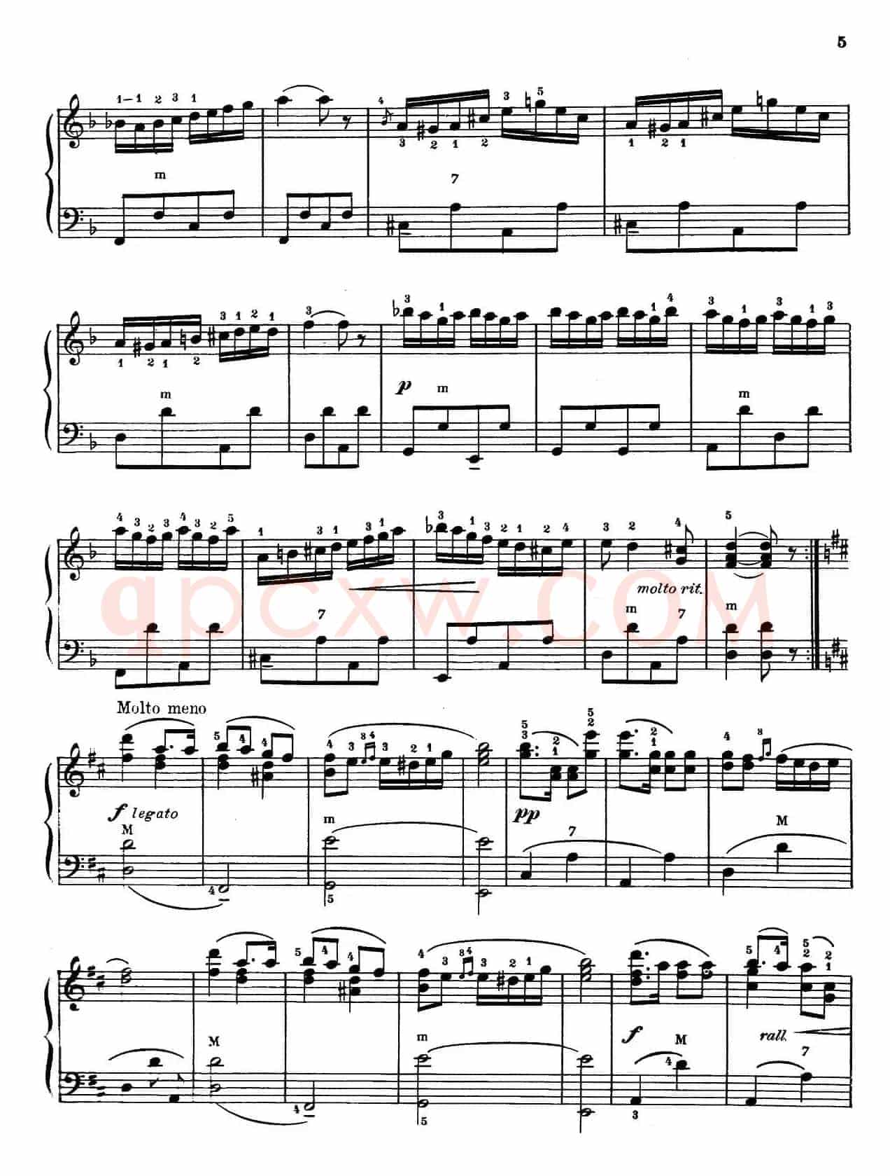 Czardas（查尔达什）（马格南特改编版）