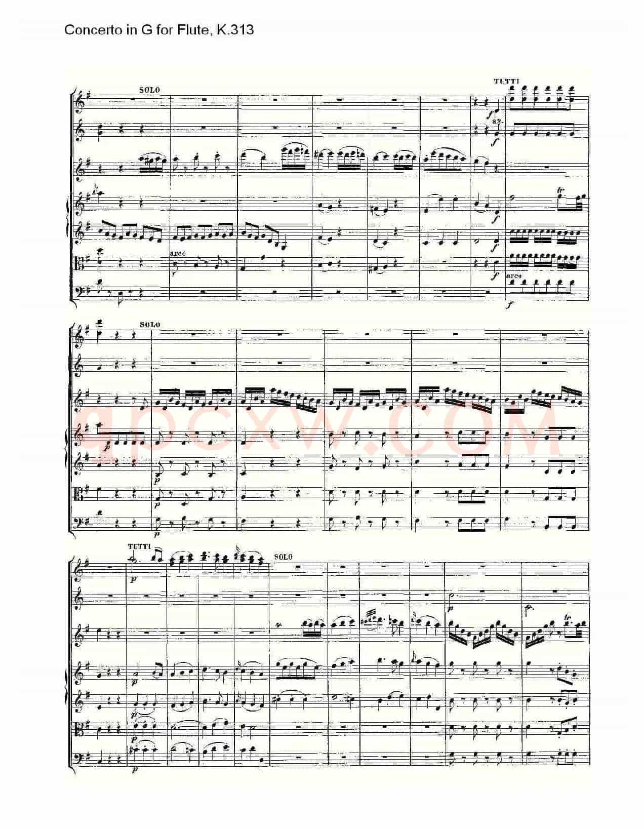 Concerto in G for Flute, K.313（G调长笛协奏曲, K.313）