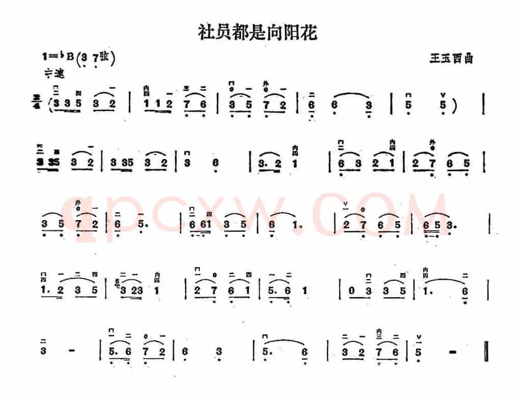 社员都是向阳花