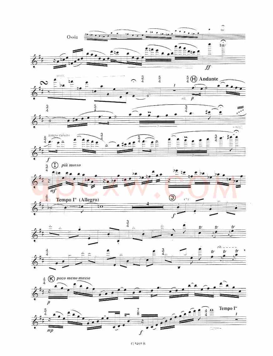 毛绒鸟奏鸣曲之一（须川展也的《Fuzzy Bird Sonata》）