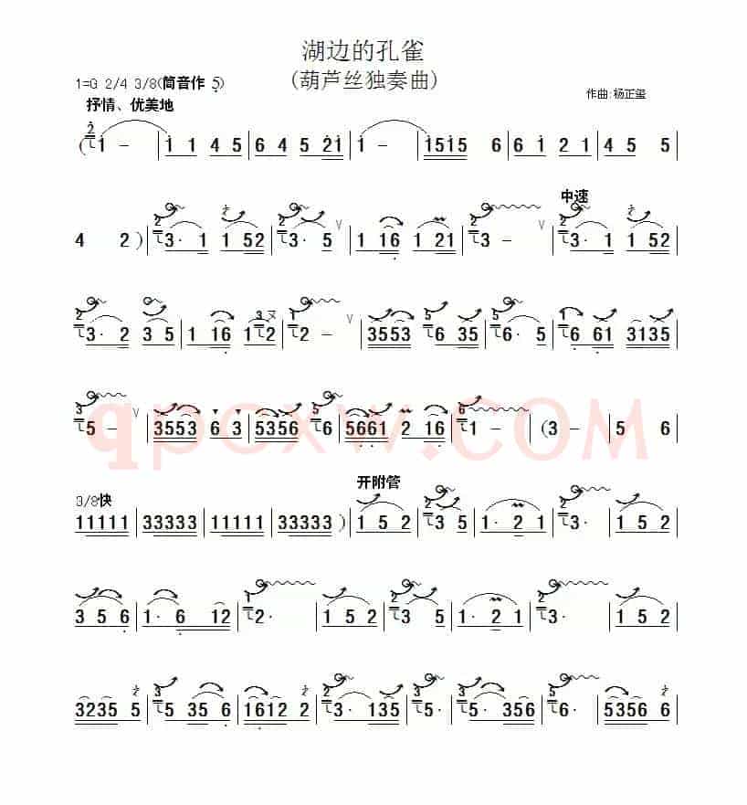 湖边的孔雀.