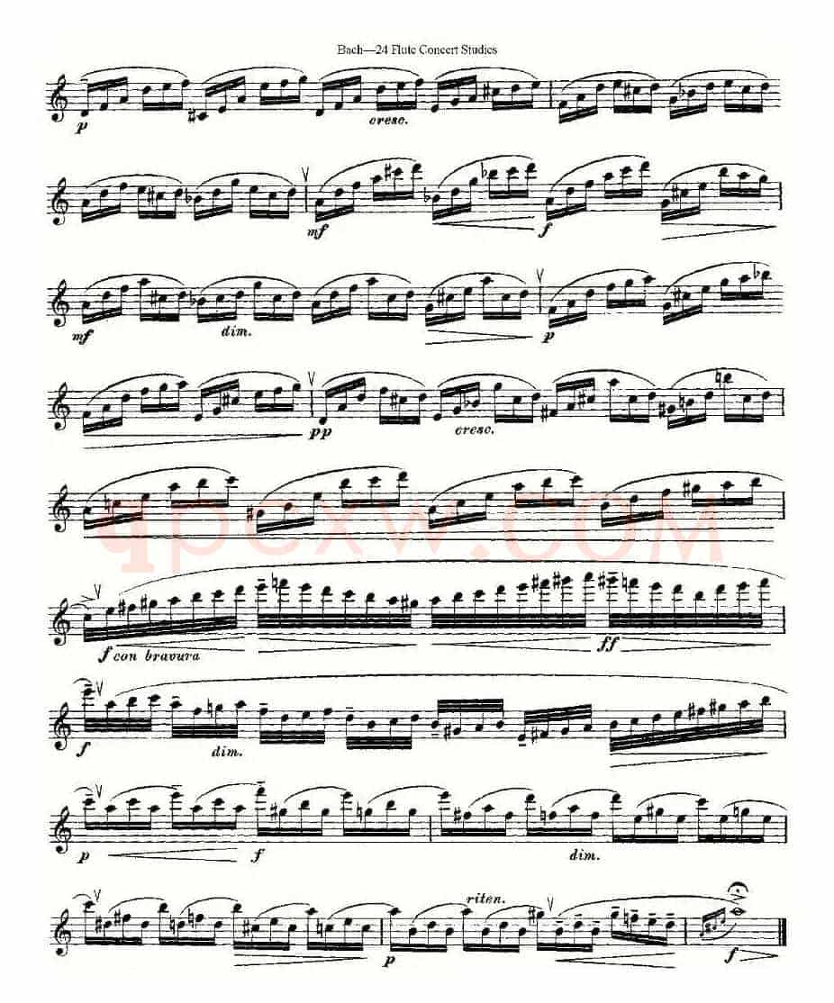 Bach-24 Flutc Concert Studies 之20—24（巴赫—24首长笛音乐会练习曲）