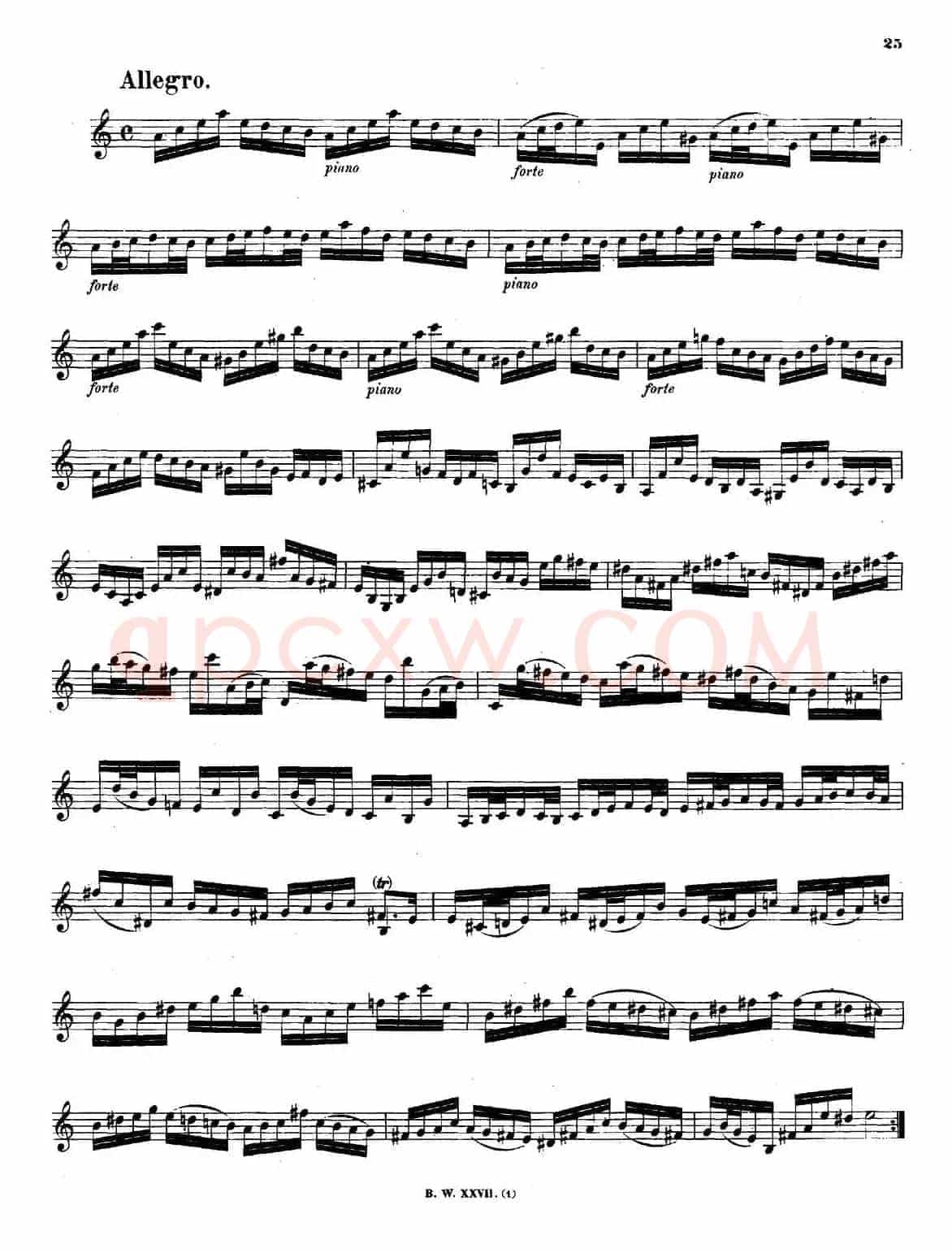 SONATAⅡ（奏鸣曲Ⅱ）