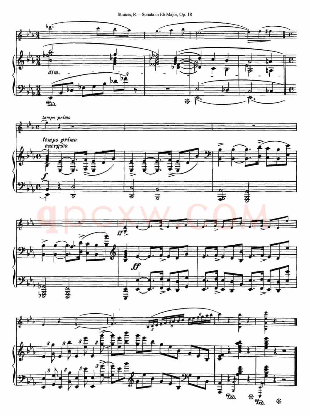 Violin Sonata in Eb Major Op.18（小提琴+钢琴伴奏）