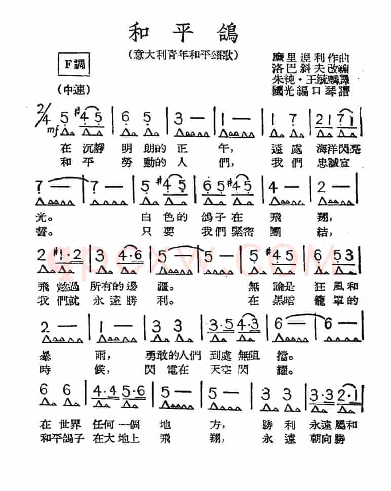 和平鸽