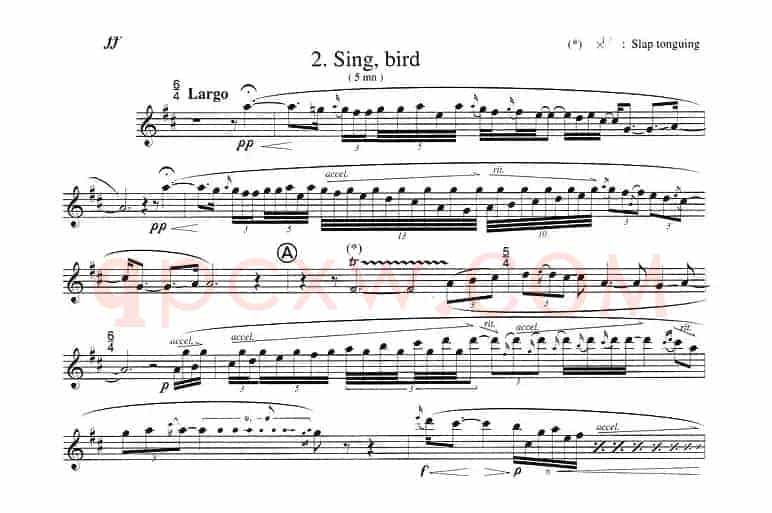 须川展也的《Fuzzy Bird Sonata》（Sing, Bird)毛绒鸟奏鸣曲之）