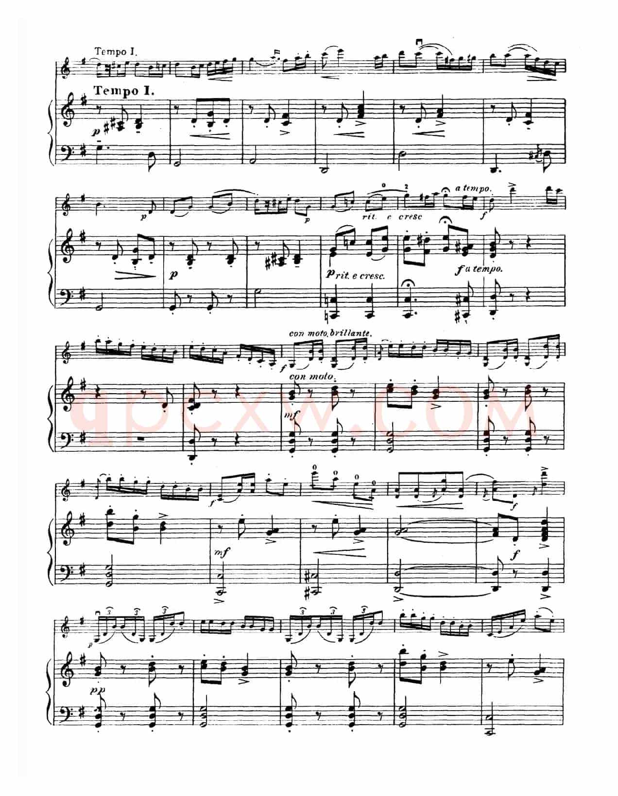 g小调学生协奏曲（塞茨作品第12号）