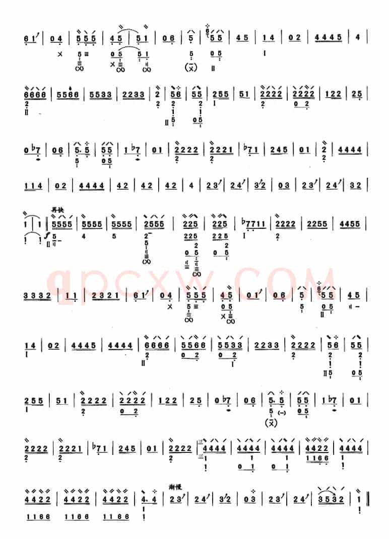 琵琶考级教材五级：寒鸭戏水（潮州民间乐曲）