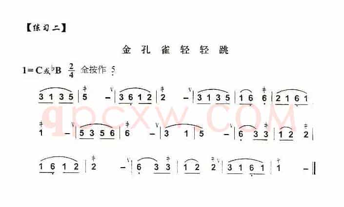 葫芦丝技巧练习之一：打音练习