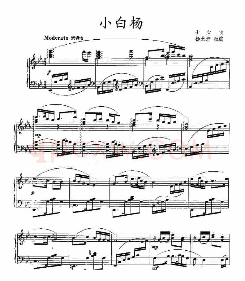 小白杨