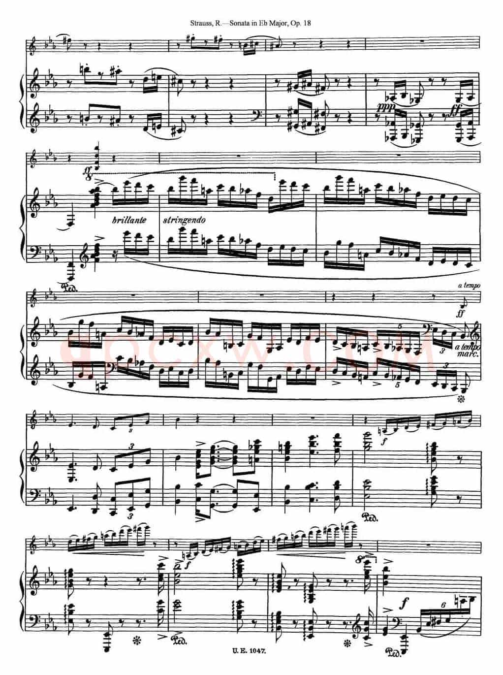 Violin Sonata in Eb Major Op.18（小提琴+钢琴伴奏）