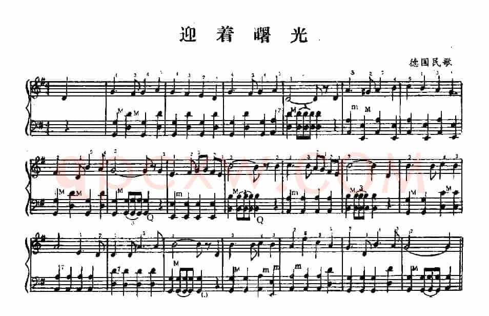 迎着曙光