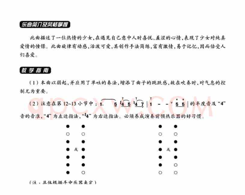 葫芦丝教学曲集：心恋