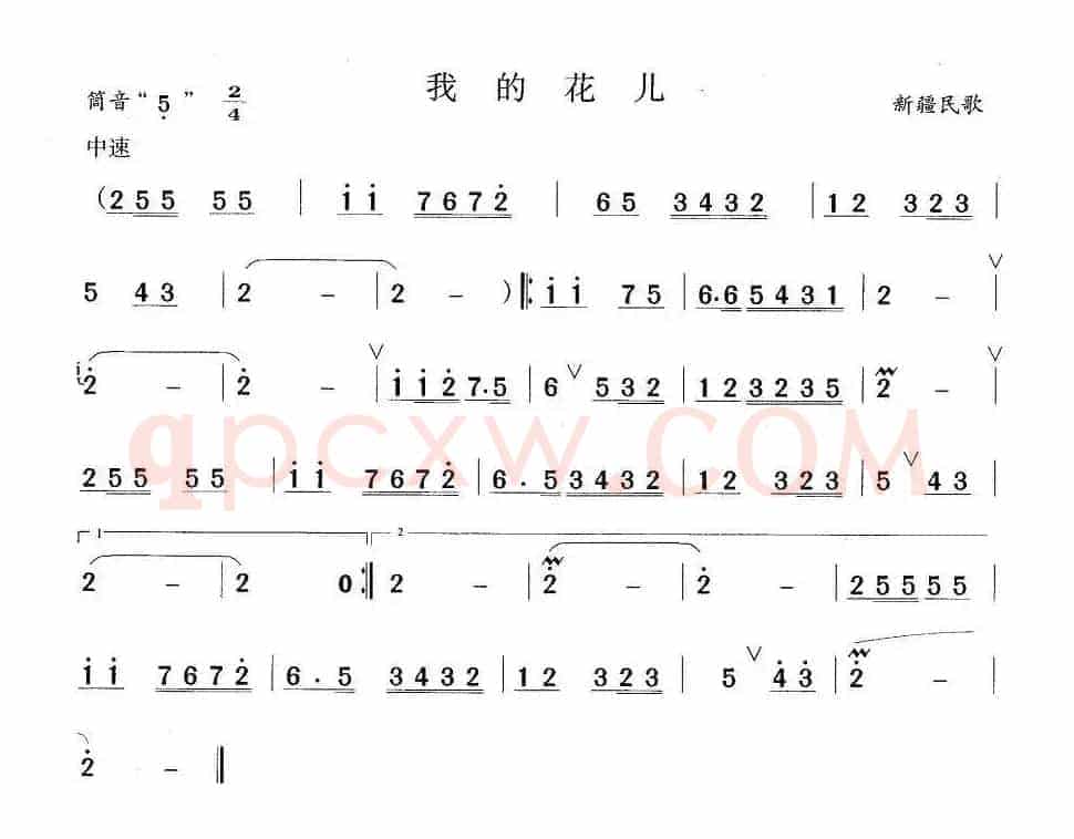 我的花儿