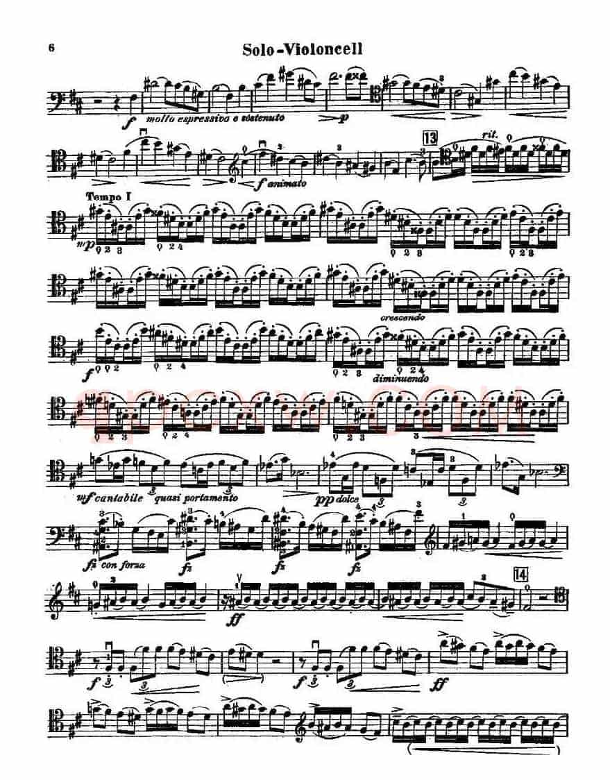 CELLO CONCERTO in B minor（大提琴）