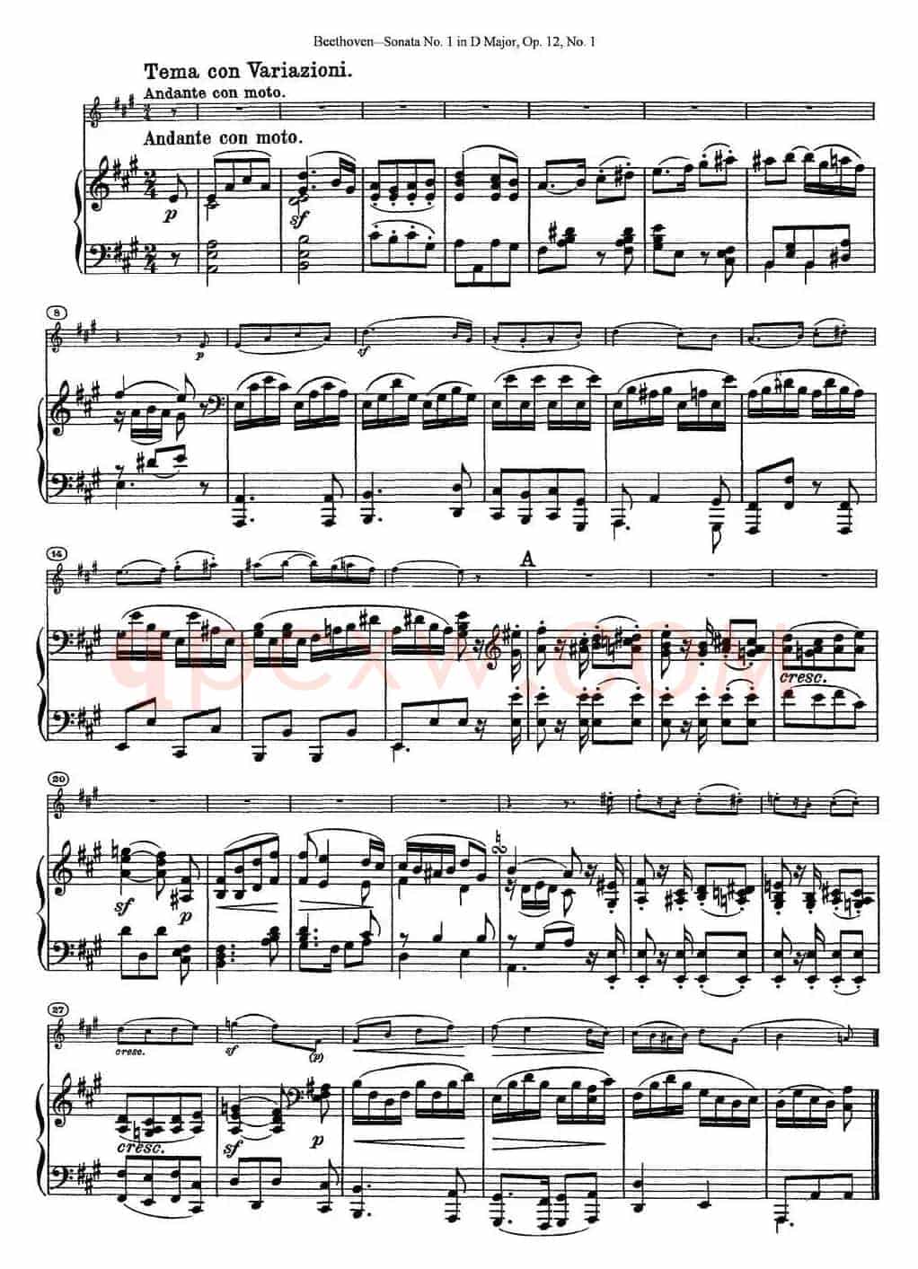 Violin Sonata No.1 in D Major Op.12 No.1（小提琴+钢琴伴奏）